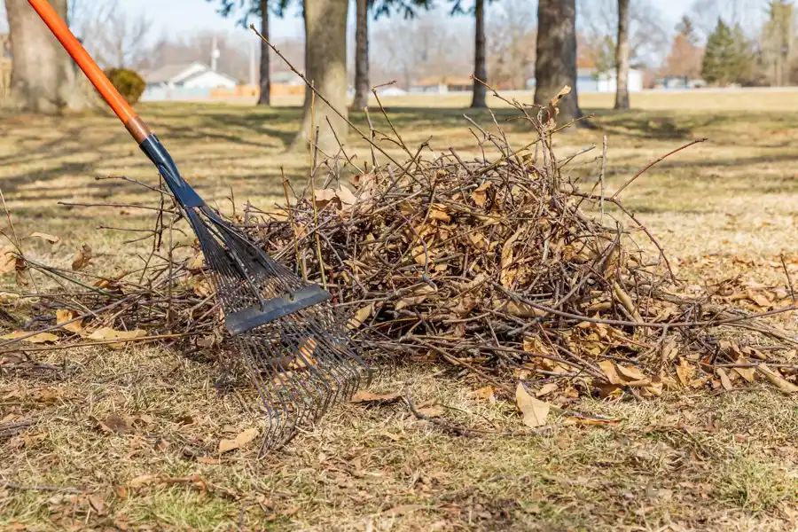Professional Yard Waste Disposal in Portsmouth, VA