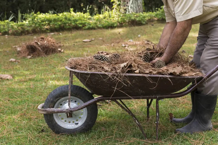 Reliable Yard Waste Disposal in Portsmouth, VA