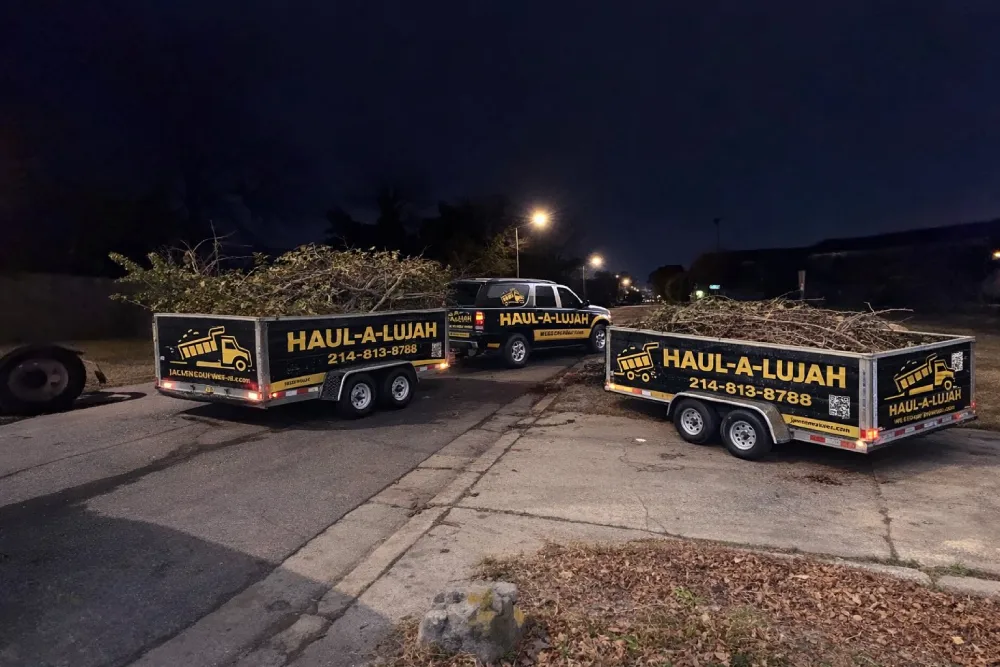 Reliable Yard Waste Removal