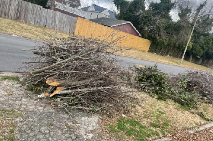 Yard Waste Disposal Services